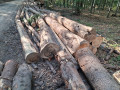 img-20260908-wa0007.jpg