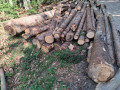 img-20260908-wa0009.jpg