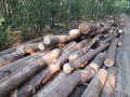 img-20260908-wa0010.jpg