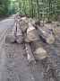 img-20260908-wa0005.jpg