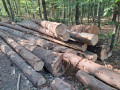 img-20260908-wa0003.jpg