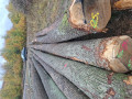 20261022_120445.jpg
