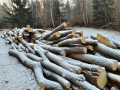 20220113_091831.jpg
