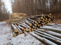 img_20220113_111500_877.jpg