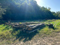 img-20230913-wa0001.jpg