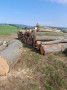 20230823_094453.jpg
