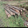 screenshot_20230907-082226_gallery.jpg