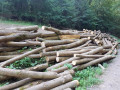 20230913_100723.jpg