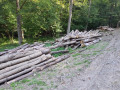 20230913_100751.jpg