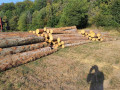 20230913_084211.jpg