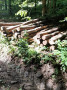20230802_104928.jpg