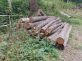 img_20230914_130202_231.jpg