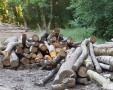 20230928_070542.jpg