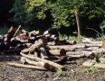 20230928_070655.jpg