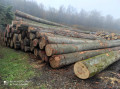 img-20231113-wa0005.jpg