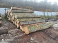 img-20231113-wa0006.jpg