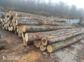 img-20231113-wa0007.jpg