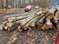 img-20231116-wa0014.jpg