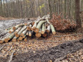 img-20231116-wa0016.jpg