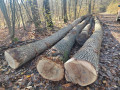 img_20231116_100259.jpg