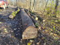 img_20231116_100510.jpg