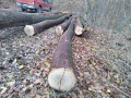 img_20231116_105412.jpg