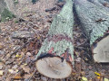 img_20231116_105507.jpg