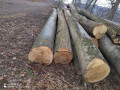 img_20240201_092724.jpg