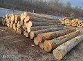 img-20240207-wa0005.jpg