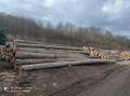 img-20240207-wa0004.jpg