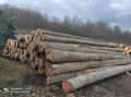 img-20240207-wa0007.jpg