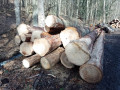 img_20240206_112527_165.jpg