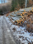 20240126_124434.jpg