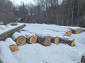 img-20240126-wa0011.jpg