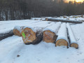 img-20240126-wa0012.jpg