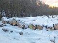 img-20240126-wa0013.jpg