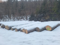 img-20240126-wa0001.jpg