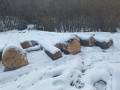 img-20240126-wa0004.jpg