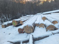 img-20240126-wa0006.jpg