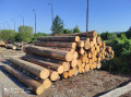 img-20240530-wa0006.jpg