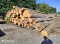 img-20240530-wa0009.jpg