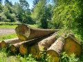 img-20240607-wa0010.jpg