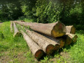 img-20240607-wa0011.jpg