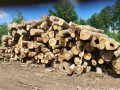 img-20240607-wa0007.jpg