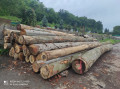img-20240611-wa0005.jpg