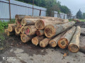 img-20240611-wa0006.jpg