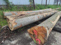 img-20240611-wa0007.jpg