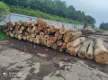 img-20240611-wa0002.jpg
