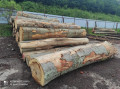 img-20240611-wa0003.jpg
