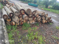 img-20240611-wa0004.jpg